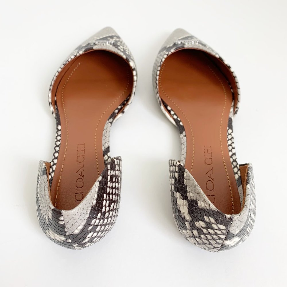 ❌SOLD- COACH Printed Exotic Pointy Toe Flat 5.5 - Picture 9 of 11